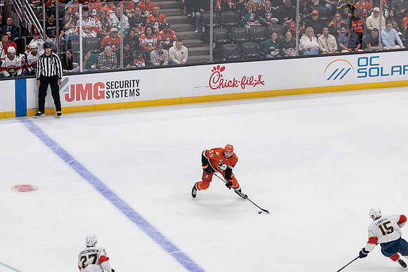 100426_ANAHEIM_DUCKS_RMR11746