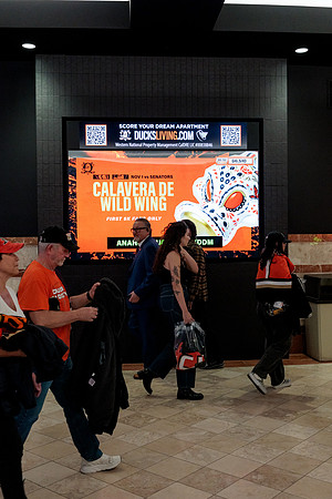 100426_ANAHEIM_DUCKS_RMR12962
