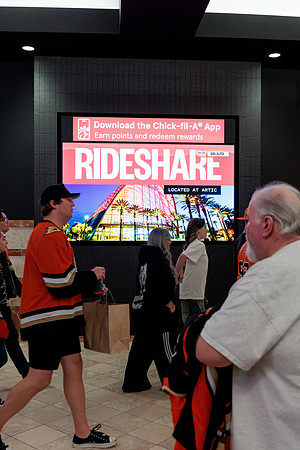 100426_ANAHEIM_DUCKS_RMR13451