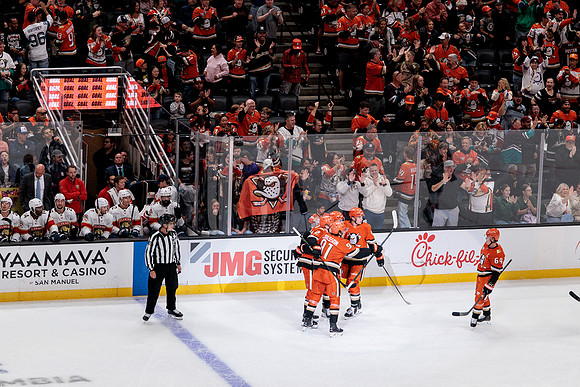 100426_ANAHEIM_DUCKS_RMR19898