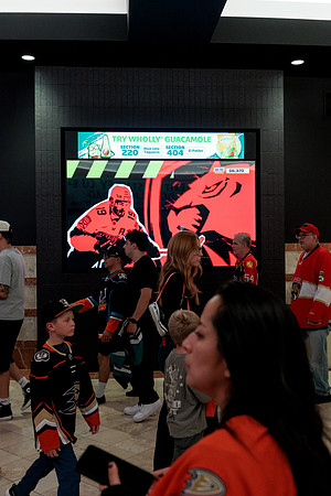 100426_ANAHEIM_DUCKS_RMR12581
