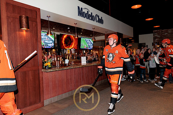 100426_ANAHEIM_DUCKS_RMR15126