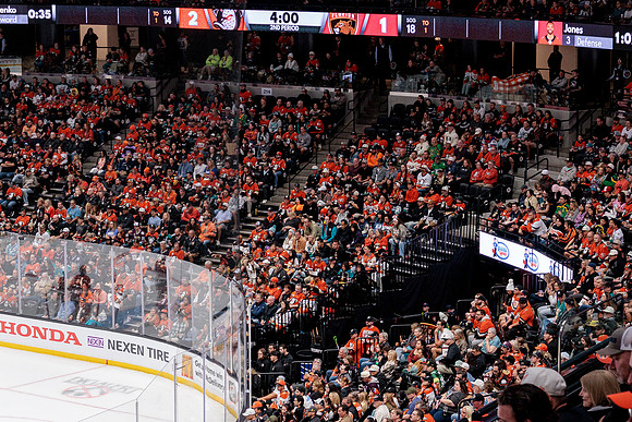 100426_ANAHEIM_DUCKS_RMR12861