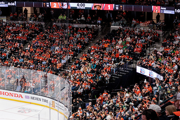 100426_ANAHEIM_DUCKS_RMR12866A