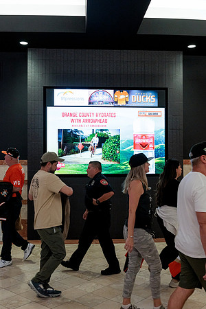 100426_ANAHEIM_DUCKS_RMR14986