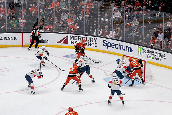 100426_ANAHEIM_DUCKS_RMR18981