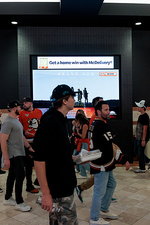 100426_ANAHEIM_DUCKS_RMR14606