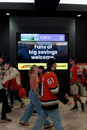 100426_ANAHEIM_DUCKS_RMR14748