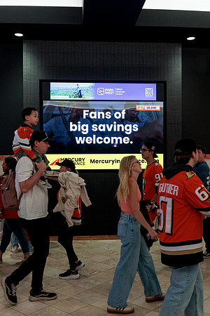 100426_ANAHEIM_DUCKS_RMR14755