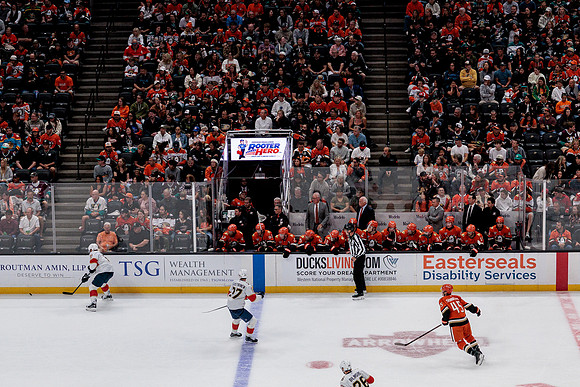 100426_ANAHEIM_DUCKS_RMR10108
