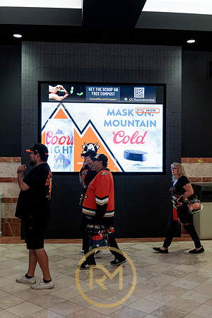 100426_ANAHEIM_DUCKS_RMR12067