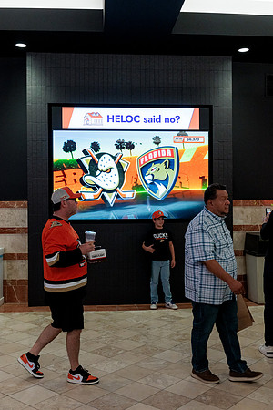 100426_ANAHEIM_DUCKS_RMR12623