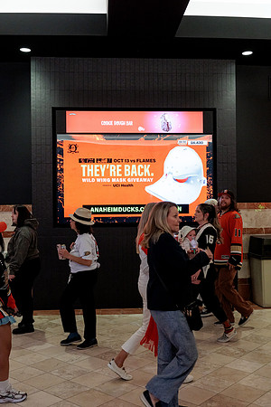 100426_ANAHEIM_DUCKS_RMR12903