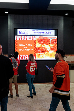 100426_ANAHEIM_DUCKS_RMR12745