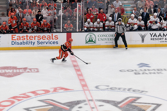 100426_ANAHEIM_DUCKS_RMR11531