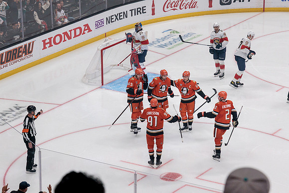 100426_ANAHEIM_DUCKS_RMR11060
