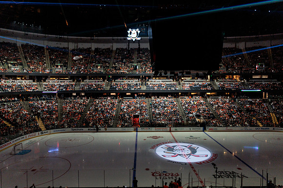 100426_ANAHEIM_DUCKS_RMR16165