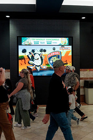 100426_ANAHEIM_DUCKS_RMR12532