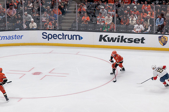 100426_ANAHEIM_DUCKS_RMR11715