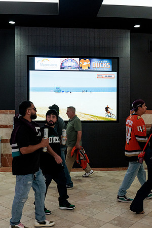 100426_ANAHEIM_DUCKS_RMR14949