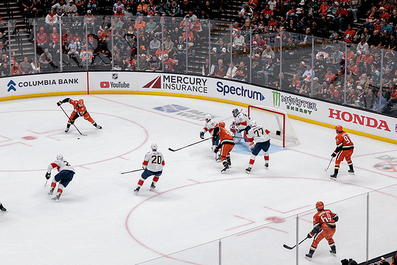 100426_ANAHEIM_DUCKS_RMR19669