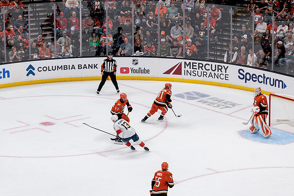 100426_ANAHEIM_DUCKS_RMR12675