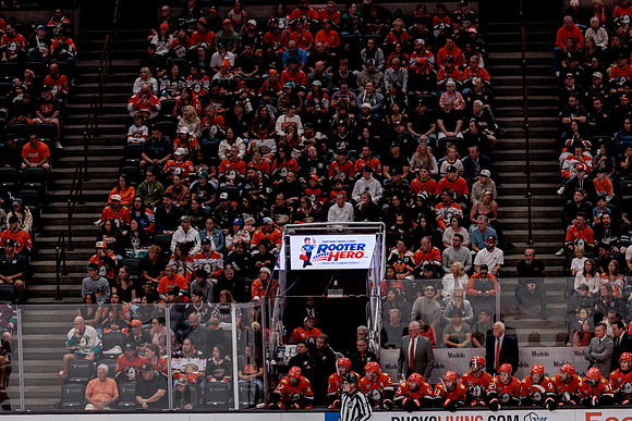 100426_ANAHEIM_DUCKS_RMR10145
