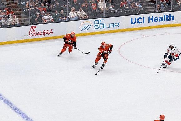 100426_ANAHEIM_DUCKS_RMR10354