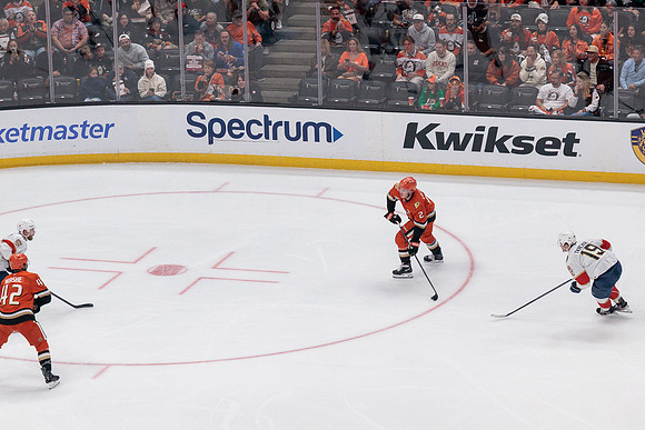 100426_ANAHEIM_DUCKS_RMR11719