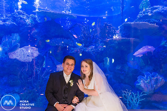 WEDDING_111415_01212