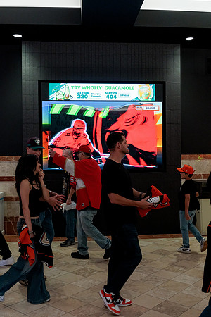 100426_ANAHEIM_DUCKS_RMR12588