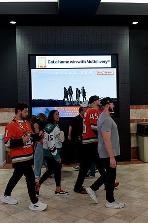 100426_ANAHEIM_DUCKS_RMR14632