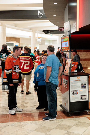100426_ANAHEIM_DUCKS_RMR11576