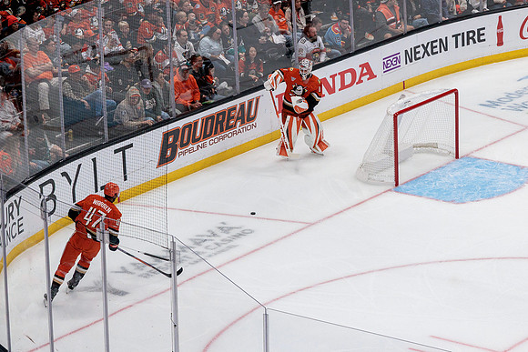 100426_ANAHEIM_DUCKS_RMR18038
