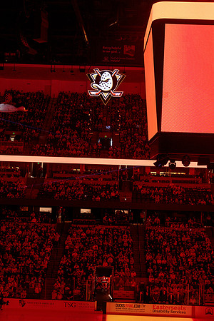 100426_ANAHEIM_DUCKS_RMR16180