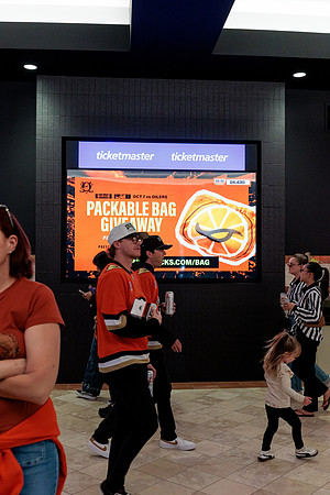 100426_ANAHEIM_DUCKS_RMR12845