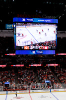 100426_ANAHEIM_DUCKS_RMR16846