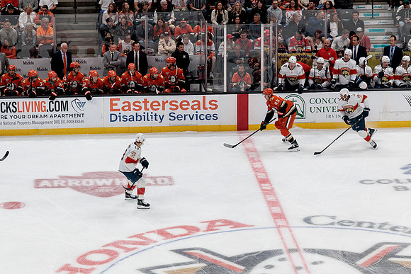 100426_ANAHEIM_DUCKS_RMR17573