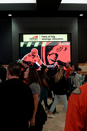 100426_ANAHEIM_DUCKS_RMR13158