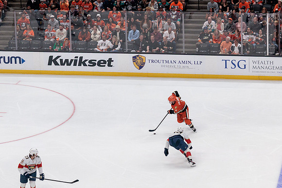 100426_ANAHEIM_DUCKS_RMR11692
