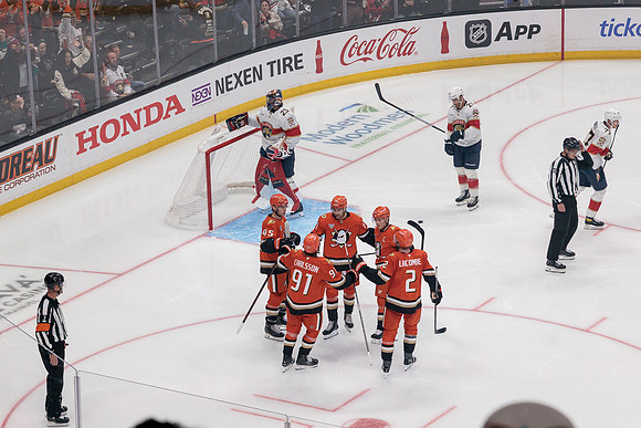 100426_ANAHEIM_DUCKS_RMR11069