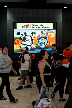 100426_ANAHEIM_DUCKS_RMR14785