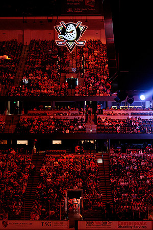 100426_ANAHEIM_DUCKS_RMR16184