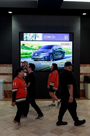 100426_ANAHEIM_DUCKS_RMR13519