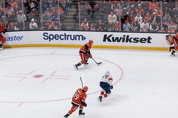 100426_ANAHEIM_DUCKS_RMR18885