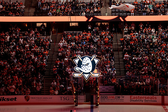 100426_ANAHEIM_DUCKS_RMR16529