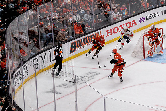 100426_ANAHEIM_DUCKS_RMR10046