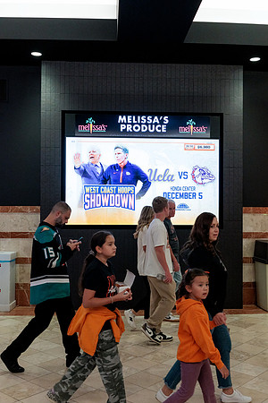 100426_ANAHEIM_DUCKS_RMR15052