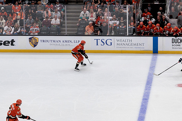 100426_ANAHEIM_DUCKS_RMR19624