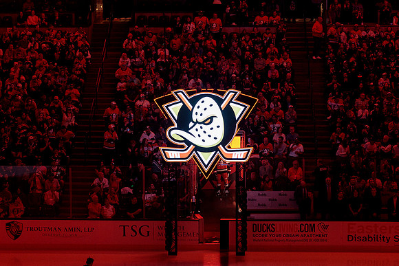 100426_ANAHEIM_DUCKS_RMR16511